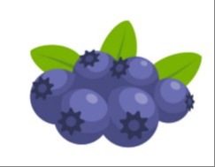 MacMillan Fundraising - Pick your Own Blueberries