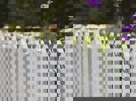 Fencing