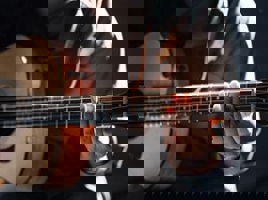 Musicians